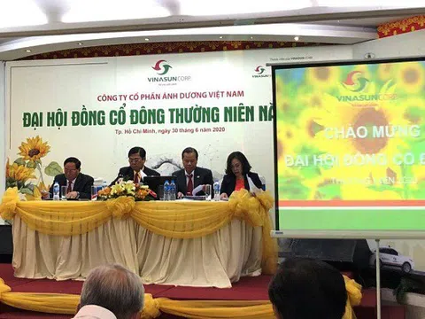 Gặp khó khăn do Covid 19, Vinasun ước lỗ 116 tỷ đồng trong quý II năm 2020